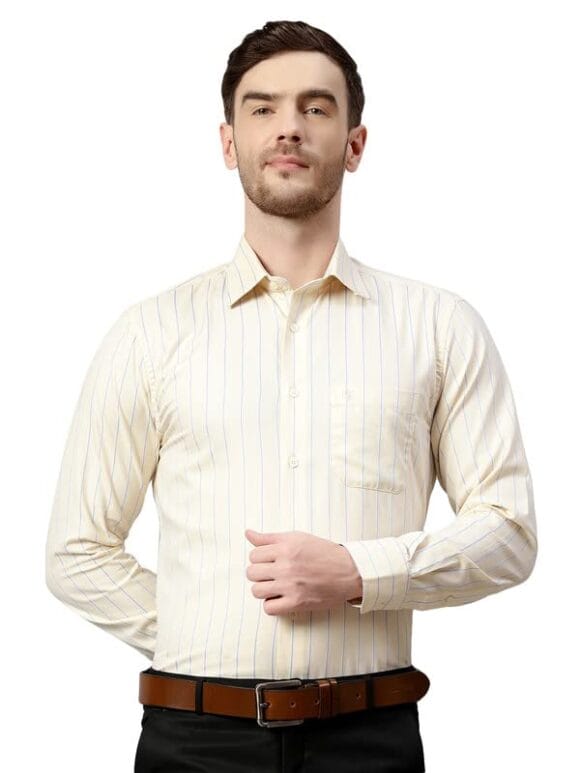 Striped Full Sleeve Regular Fit Formal Shirt for Men with Pocket | Formal Shirt for Men | Formal Wear Shirts for Men (P_MSHF00272)