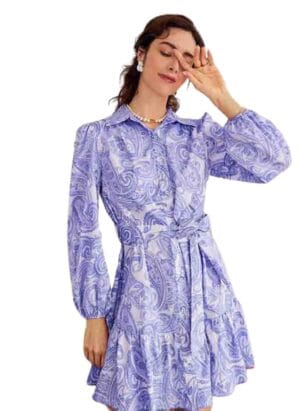 DHRUVI TRENDZ Women Regular Fit Rayon Dress