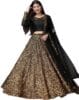 Women's Embellished Sequence Velvet Ethnic wear Semi-stitched Lehenga Choli With Dupatta Set (N-55465)