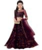 Femisha Creation Girl's Lehenga Choli Ethnic Wear Printed Semi-Stitch Net Lehenga Choli