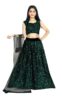 Women's Embellished Sequence Velvet Ethnic wear Semi-stitched Lehenga Choli With Dupatta Set (N-55474)