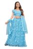 Women Lenhga VILUCHI Women's Net Embroidered Semi-Stitched Lehenga Choli Titli LH